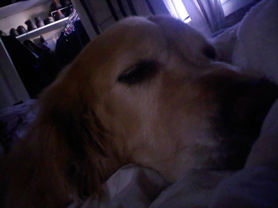 Maggie