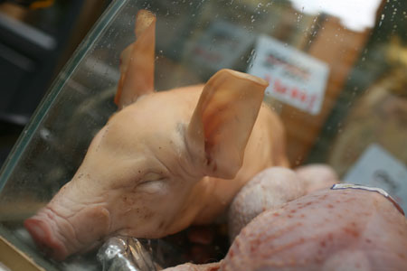 pig head